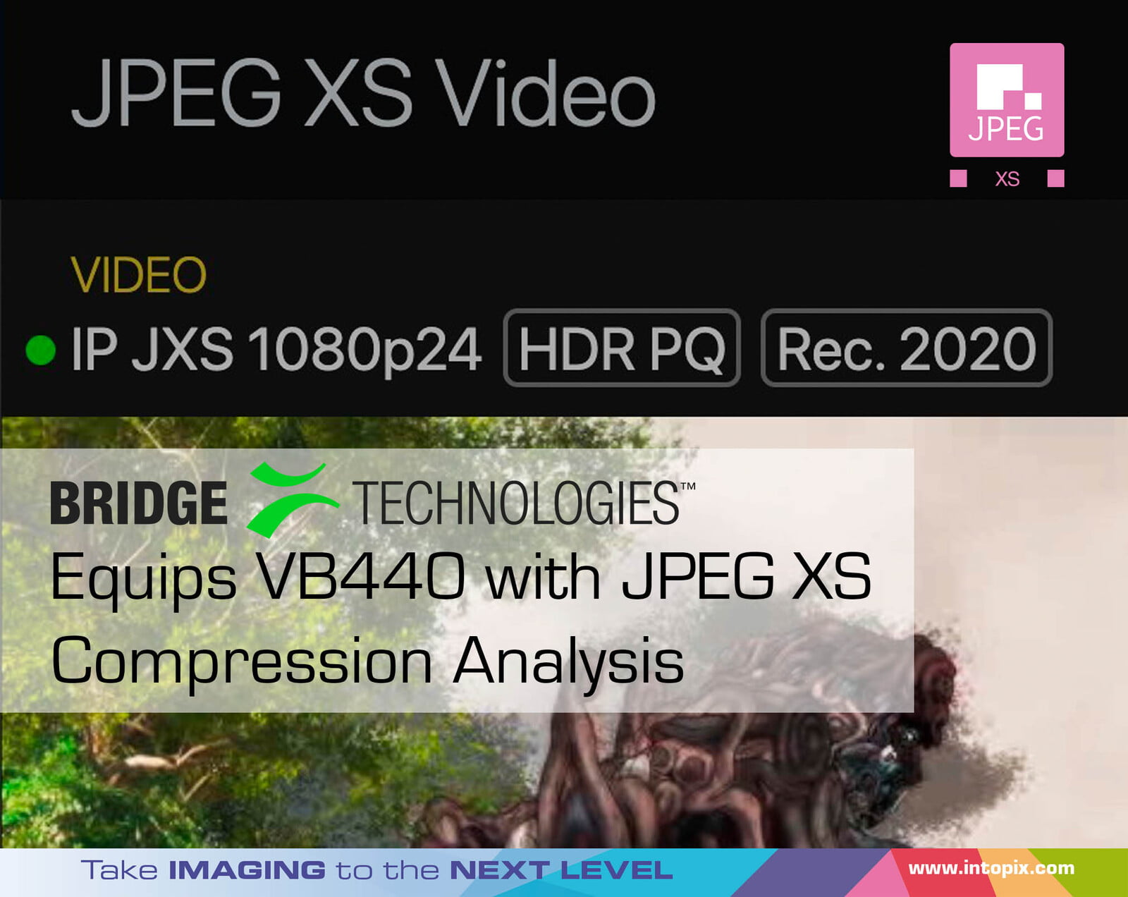 Bridge Technologies为VB440配备了JPEG XS压缩分析系统 